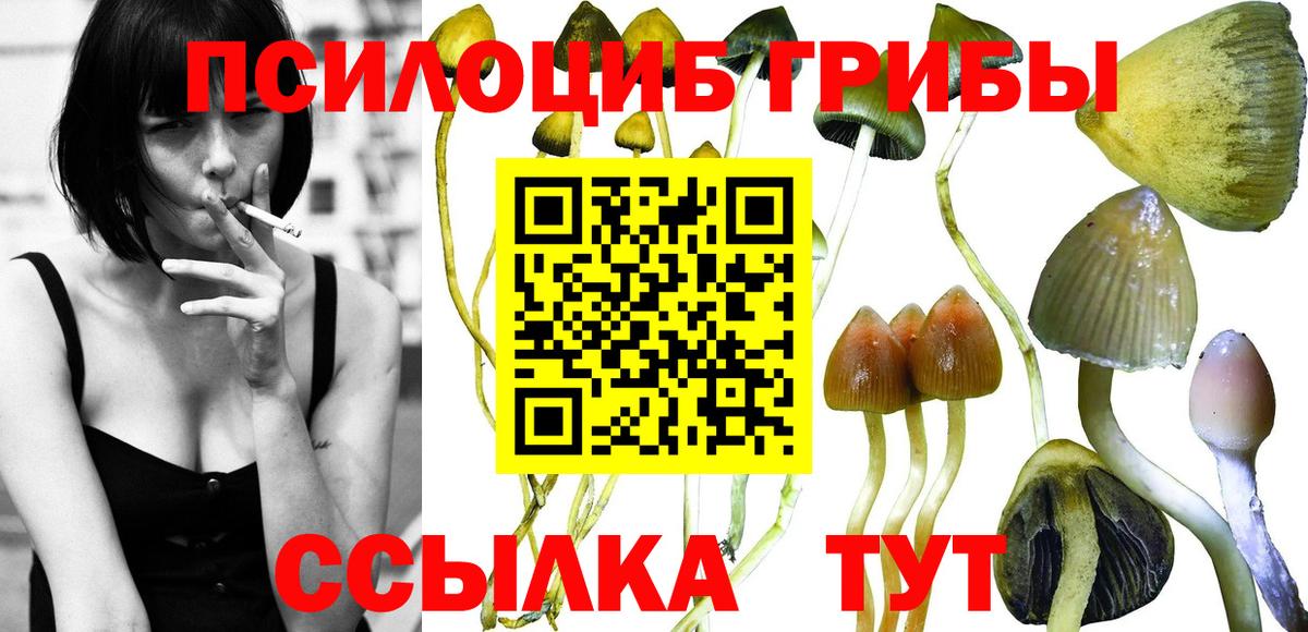 Воткинск  Псилоцибиновые грибы мухоморы  наркотики  Вход с VPN 